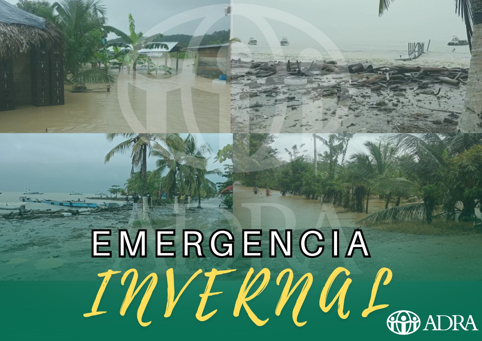 WhatsApp Image 2026 02 03 at 1.23.28 PM